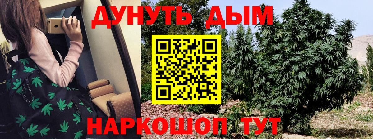 Бошки Шишки гибрид  Вход с VPN  Шишки марихуана планчик  Ялта 